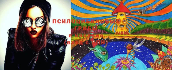 хмурый Абинск