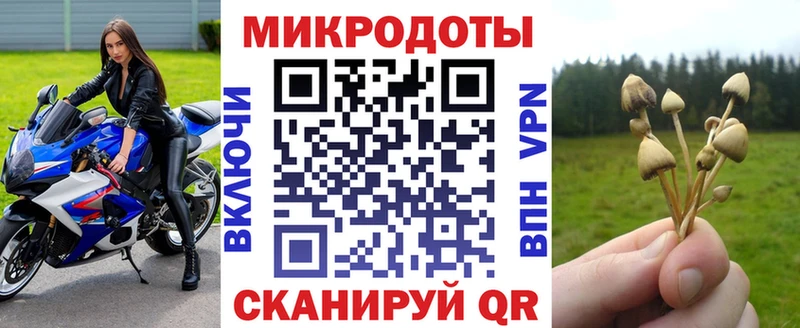 Псилоцибиновые грибы мицелий  Черкесск 